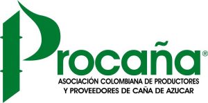 3. PROCAÑA